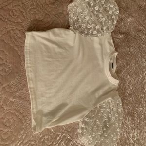 patterned sheer raglan sleeve top